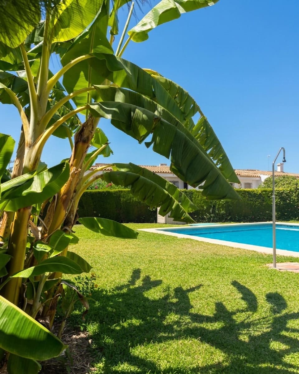 2 bedroom Apartment for sale in Mijas Costa with pool - € 425,000 (Ref: 9993928)