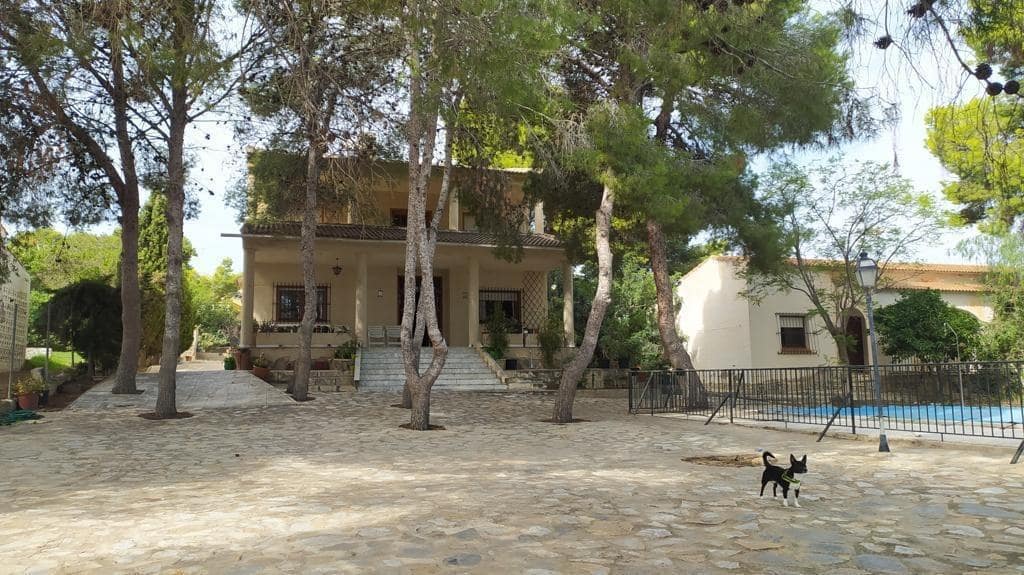 6 sypialnia Willa na sprzedaż w Torrevieja z basenem - 550 000 € (Ref: 9994875)