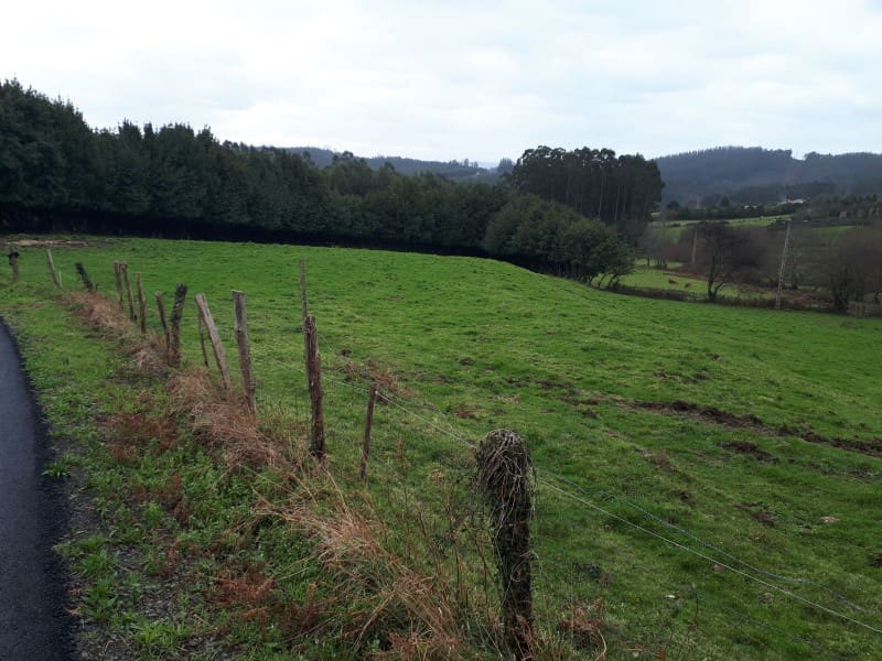 7 bedroom Finca/Country House for sale in Cerdido - € 91,203 (Ref: 5253915)