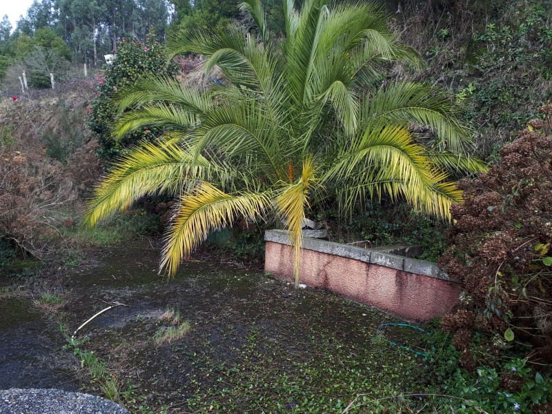 7 bedroom Finca/Country House for sale in Cerdido - € 91,203 (Ref: 5253915)