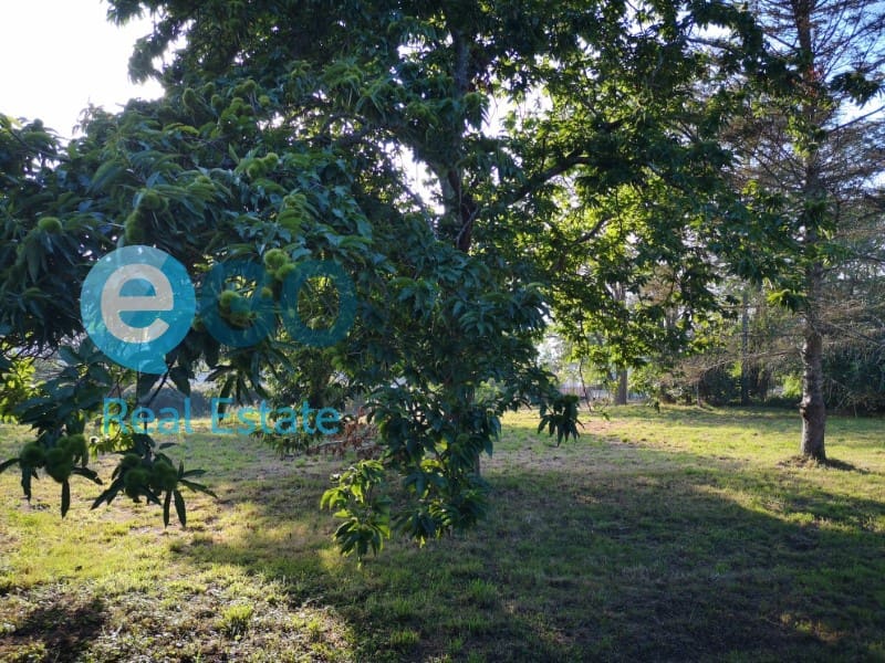 Finca/Landehus til salg i Valdovino - € 71.000 (Ref: 5453084)