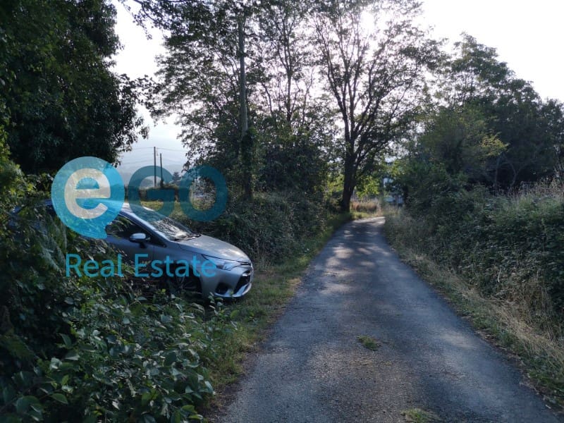 Finca/Landehus til salg i Valdovino - € 71.000 (Ref: 5453084)