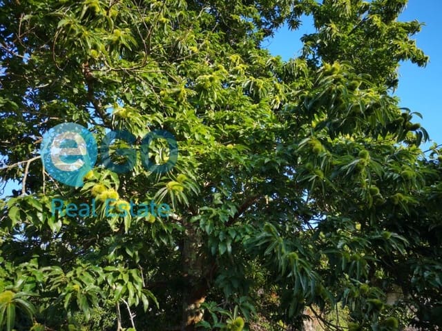 Finka/Dom wiejski na sprzedaż w Valdoviño - 71 000 € (Ref: 5453084)