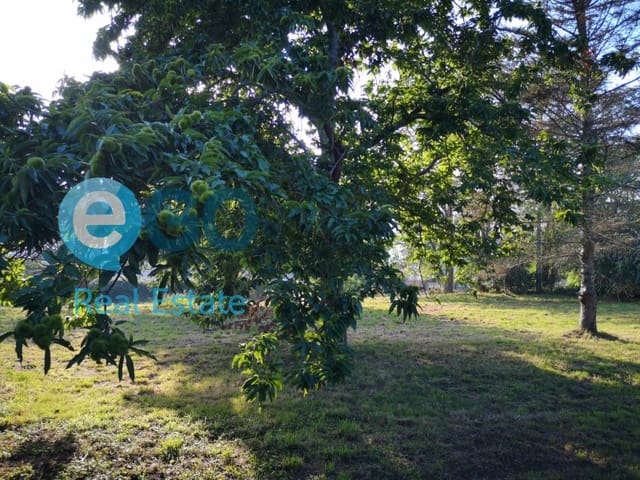 Finka/Dom wiejski na sprzedaż w Valdoviño - 71 000 € (Ref: 5453084)