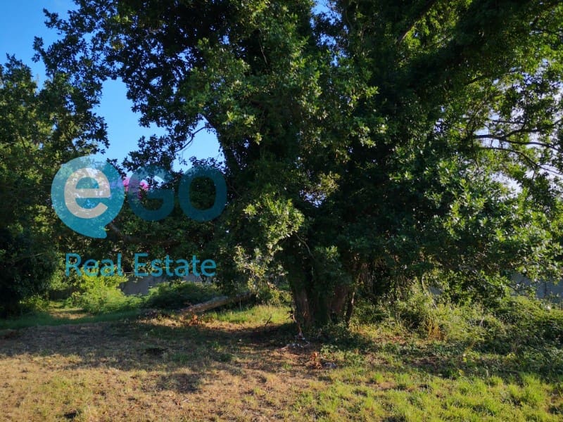 Finca/Landehus til salg i Valdovino - € 71.000 (Ref: 5453084)