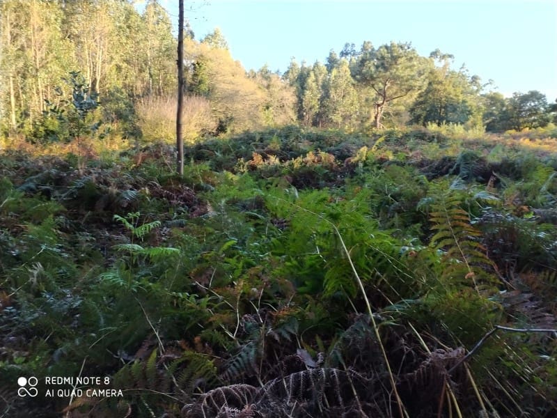 Finca/Country House for sale in Ares - € 40,000 (Ref: 5724121)