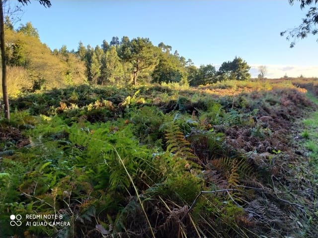 Finca/Herregård til salgs i Ares - € 40 000 (Ref: 5724121)