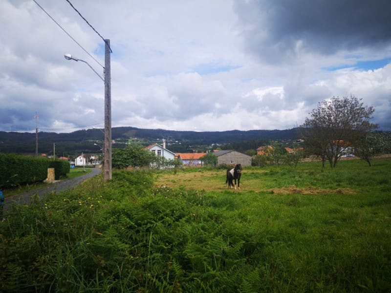 Byggegrund til salg i Valdovino - € 45.000 (Ref: 6079538)