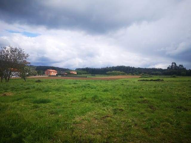 Building Plot for sale in Valdoviño - € 45,000 (Ref: 6079538)