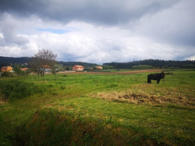Building Plot for sale in Valdoviño - € 45,000 (Ref: 6079538)
