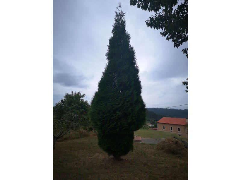 6 soveværelse Byhus til salg i Mino - € 175.000 (Ref: 6279847)