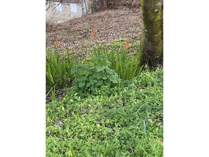 Finca/Herregård til salgs i Mugardos - € 120 000 (Ref: 6660304)