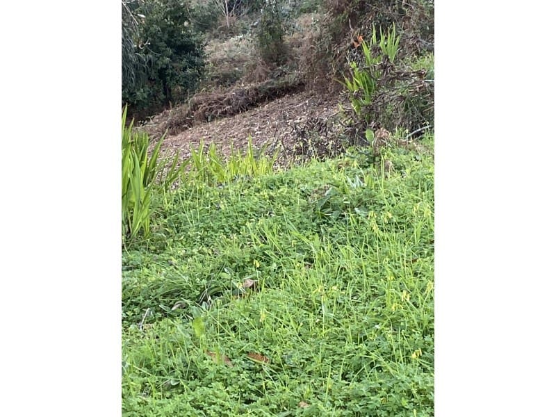 Finca/Herregård til salgs i Mugardos - € 120 000 (Ref: 6660304)