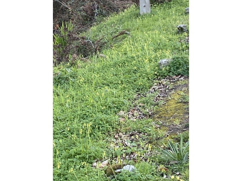 Finca/Herregård til salgs i Mugardos - € 120 000 (Ref: 6660304)