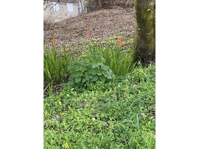 Finca/Herregård til salgs i Mugardos - € 120 000 (Ref: 6660304)