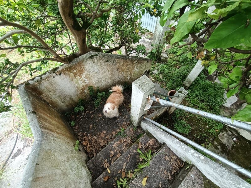 8 quarto Quinta/Casa Rural para venda em Ferrol com garagem - 280 000 € (Ref: 6922410)