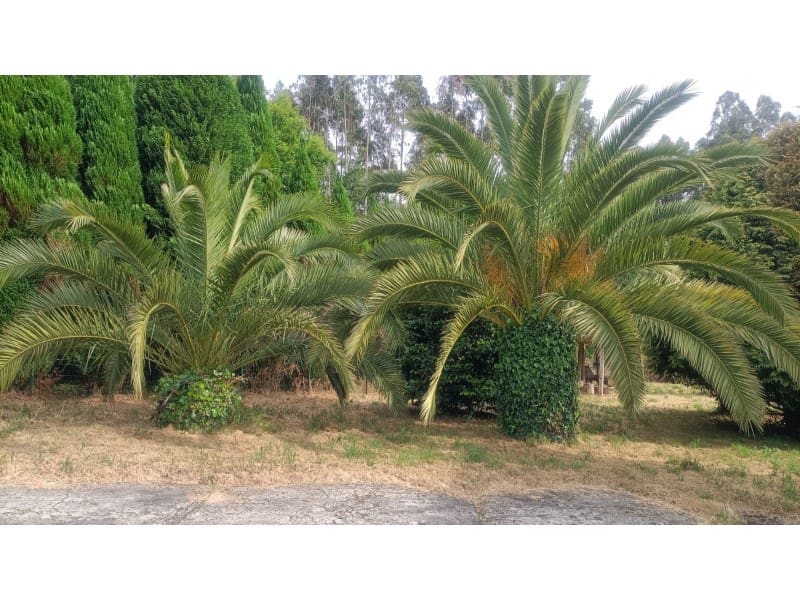 3 soveværelse Byhus til salg i Cedeira - € 78.400 (Ref: 7618119)