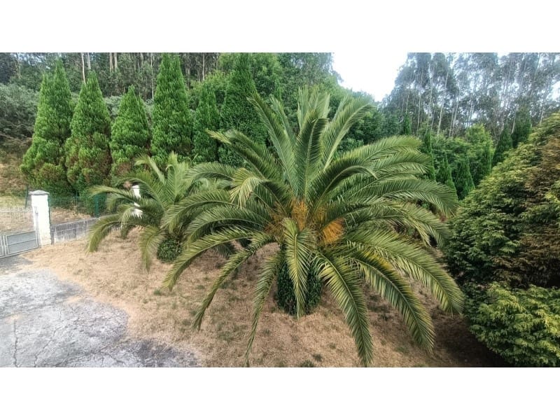 3 soveværelse Byhus til salg i Cedeira - € 78.400 (Ref: 7618119)