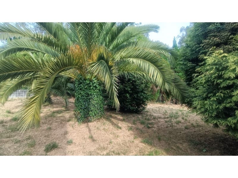 3 soveværelse Byhus til salg i Cedeira - € 78.400 (Ref: 7618119)