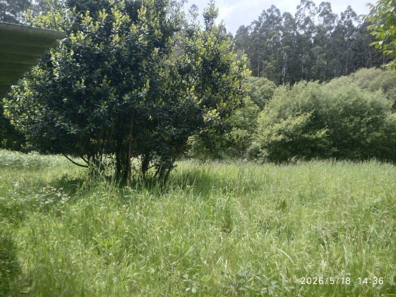 3 bedroom Townhouse for sale in Cedeira - € 150,000 (Ref: 7618119)