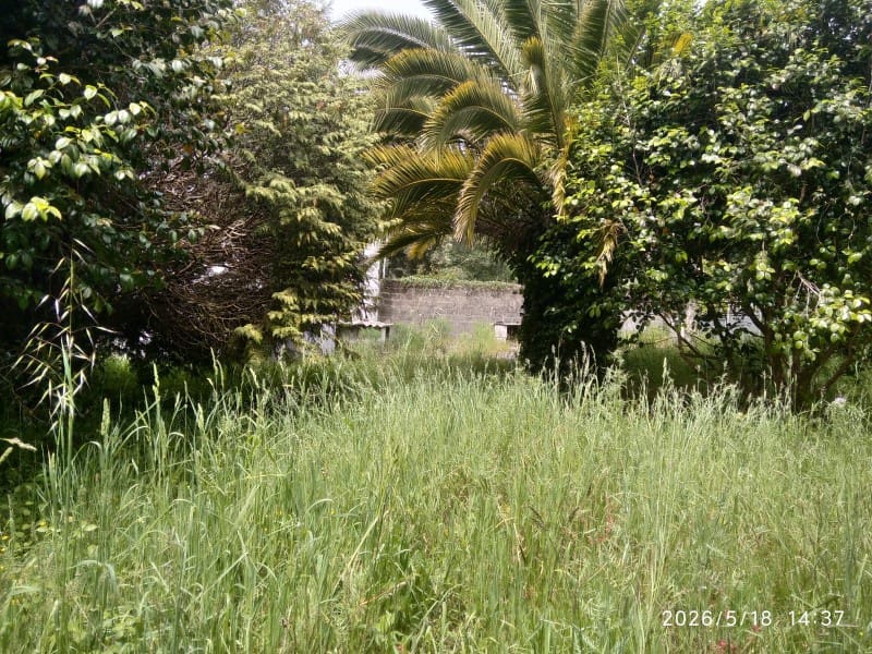 3 bedroom Townhouse for sale in Cedeira - € 150,000 (Ref: 7618119)