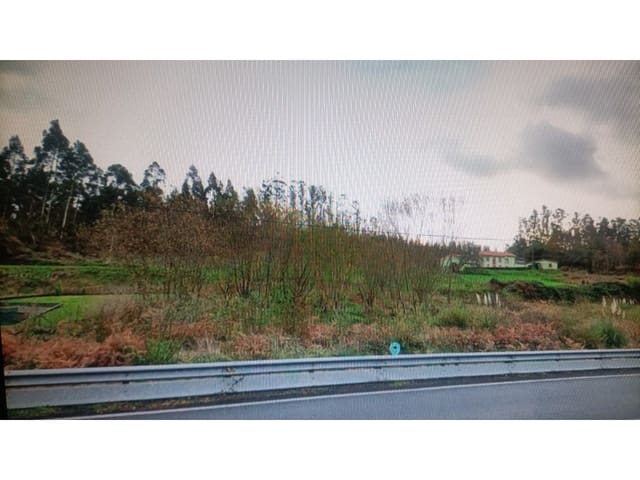 Solar/Parcela en Cedeira en venta - 18.000 € (Ref: 7621034)