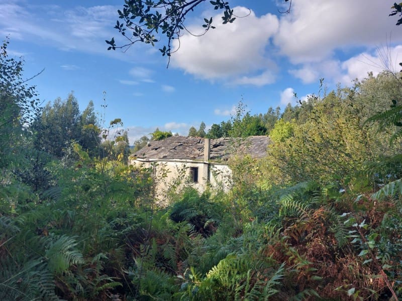 Finca/Country House for sale in San Sadurnino - € 75,000 (Ref: 7786590)