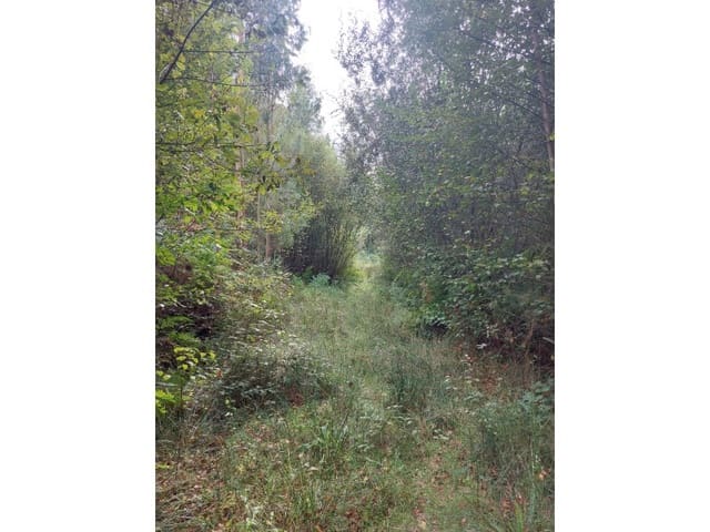 Finca/Country House for sale in San Sadurniño - € 75,000 (Ref: 7786590)