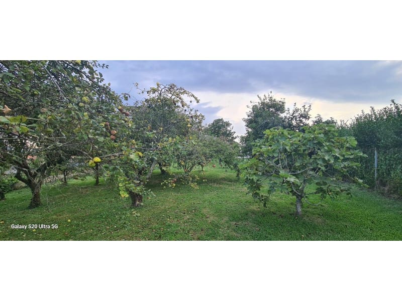 Bouwgrond te koop in Naron - € 200.000 (Ref: 7860487)