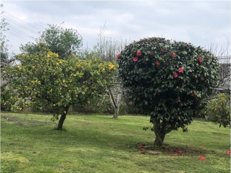 4 soveværelse Byhus til salg i Ferrol - € 220.000 (Ref: 8093851)