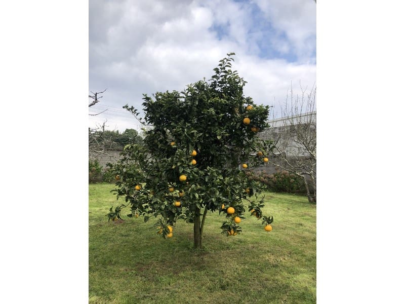 4 soveværelse Byhus til salg i Ferrol - € 220.000 (Ref: 8093851)