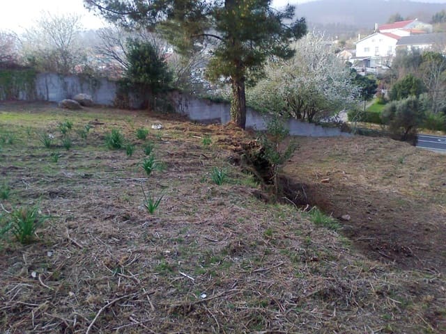 Building Plot for sale in Ferrol - € 65,000 (Ref: 8343262)