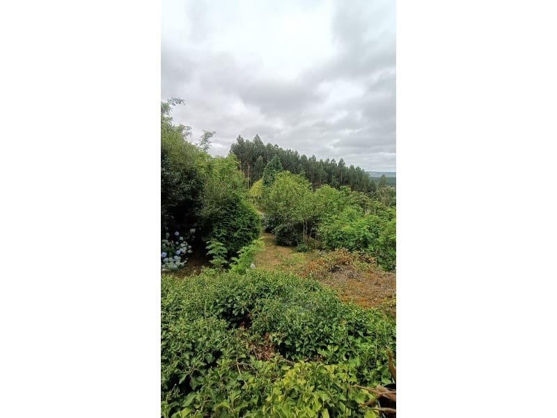 4 soveværelse Finca/Landehus til salg i Naron - € 130.000 (Ref: 8468250)