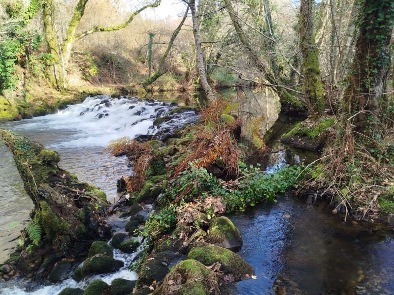 5 slaapkamer Finca/Landhuis te koop in Arbo - € 187.550 (Ref: 8723924)