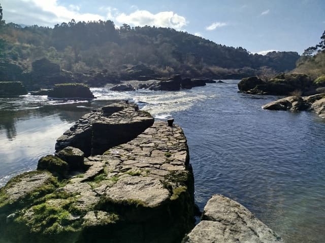 5 bedroom Finca/Country House for sale in Arbo - € 187,550 (Ref: 8723924)