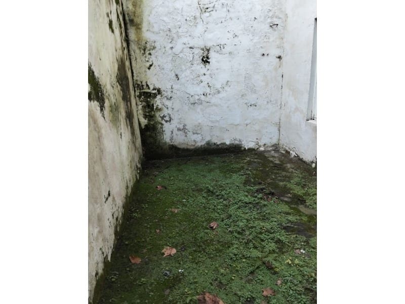 Apartment for sale in Ferrol - € 160,000 (Ref: 8823401)