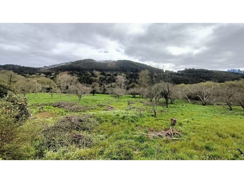 5 bedroom Townhouse for sale in Carino with garage - € 400,000 (Ref: 9788253)