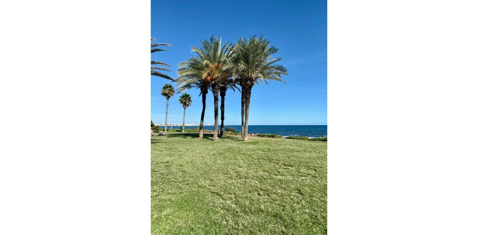 2 Zimmer Apartment zu verkaufen in Torrevieja - 149.000 € (Ref: 10166702)