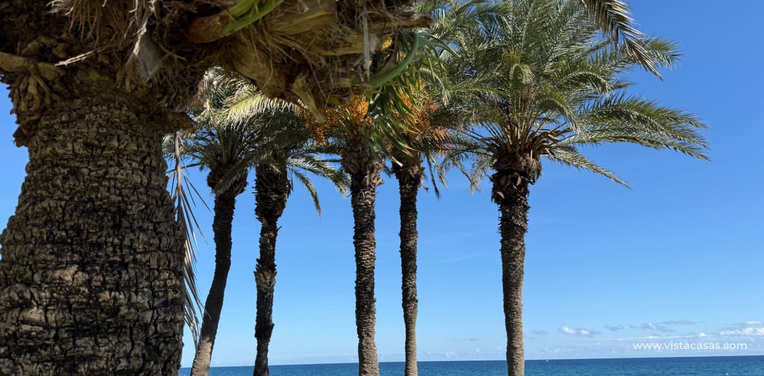 2 Zimmer Apartment zu verkaufen in Torrevieja - 149.000 € (Ref: 10166702)
