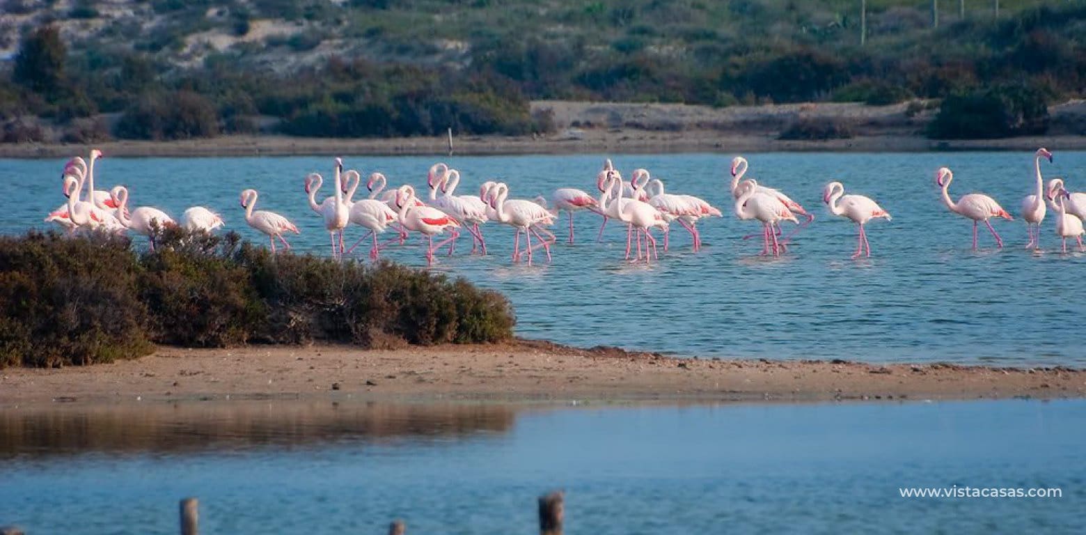 2 quarto Apartamento para venda em San Pedro del Pinatar com piscina - 245 000 € (Ref: 6989447)