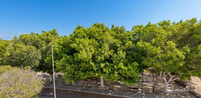 3 quarto Moradia para venda em Mil Palmeras, Pilar de la Horadada - 539 900 € (Ref: 9311348)