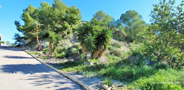 Bouwgrond te koop in San Miguel de Salinas - € 83.400 (Ref: 9413115)