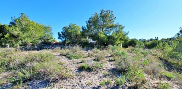 Bouwgrond te koop in San Miguel de Salinas - € 55.600 (Ref: 9413116)