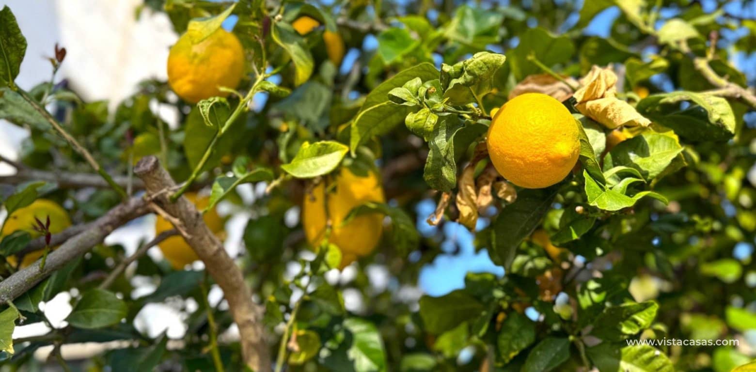 3 Zimmer Villa zu verkaufen in Villamartin - 475.000 € (Ref: 9420056)