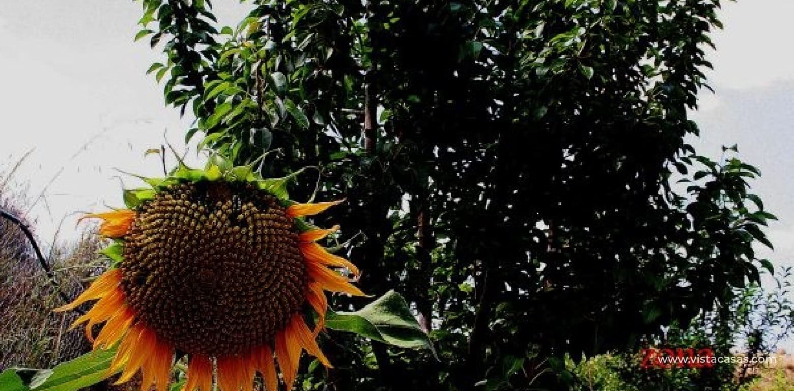 3 sypialnia Willa na sprzedaż w Gea y Truyols z basenem - 590 000 € (Ref: 9464893)