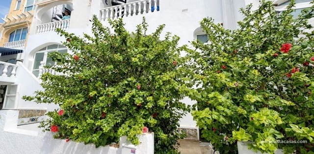 1 sypialnia Apartament na sprzedaż w Villamartin, Orihuela - 89 950 € (Ref: 9552609)