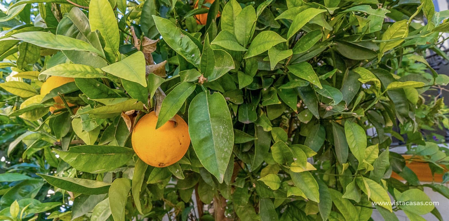 2 sypialnia Bungalow na sprzedaż w La Zenia - 185 000 € (Ref: 9579164)