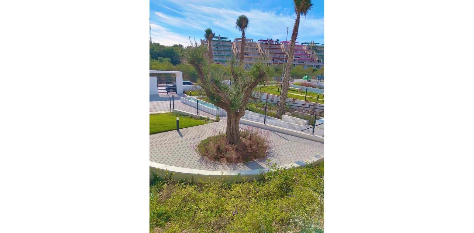 2 Zimmer Apartment zu verkaufen in Villamartin - 264.900 € (Ref: 9764768)