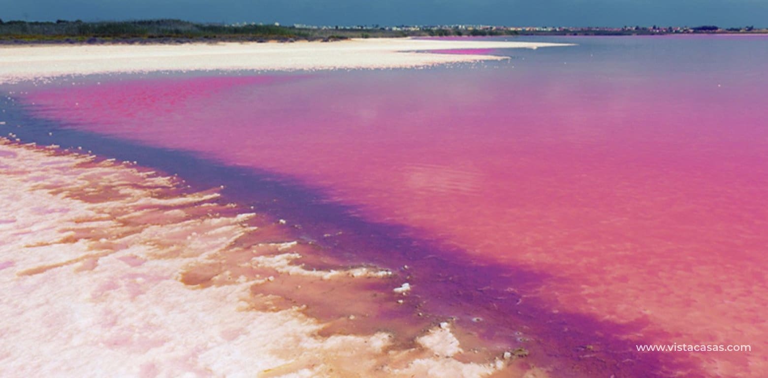 2 Zimmer Apartment zu verkaufen in Villamartin - 264.900 € (Ref: 9764768)