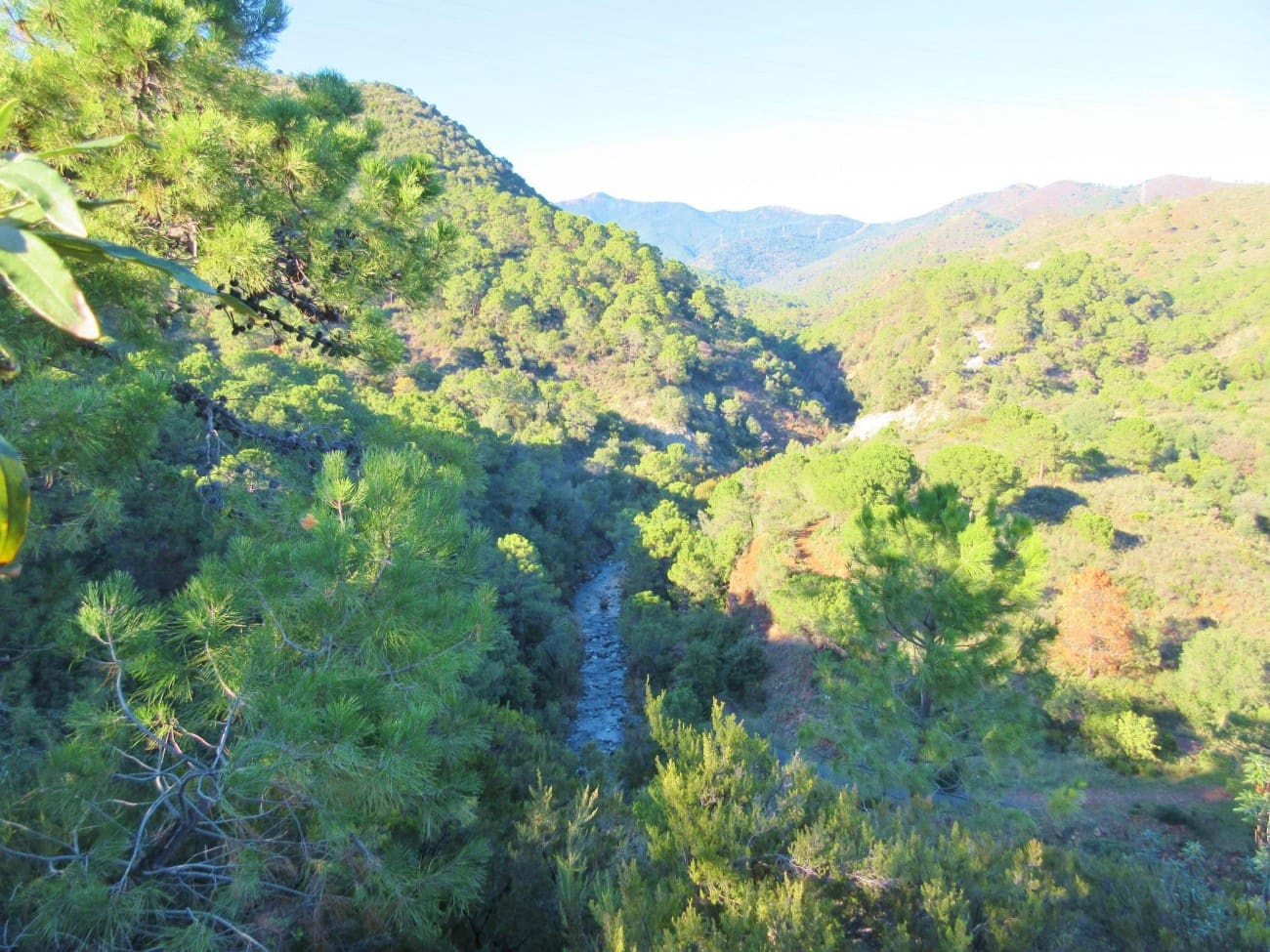 5 bedroom Villa for sale in Estepona with pool - € 2,950,000 (Ref: 7558507)